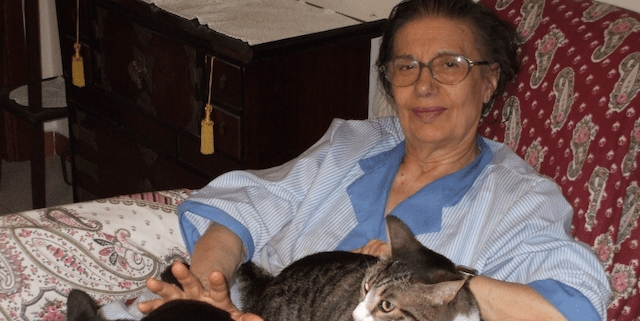 DSCF0675 1 E1773078918553